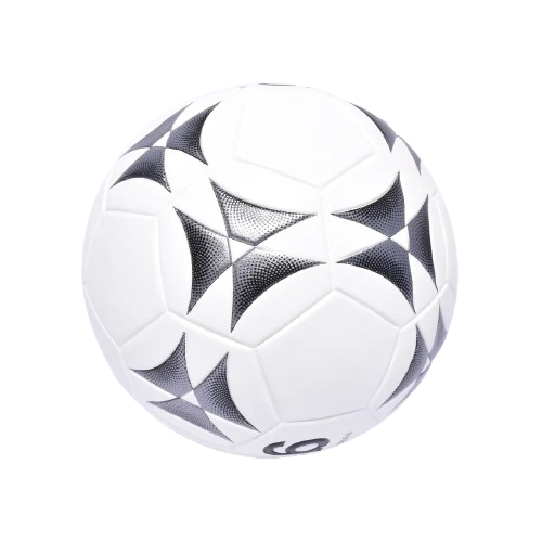 BALON  FUTBOL PROFESIONAL GOLTY TRADICIONAL No. 5